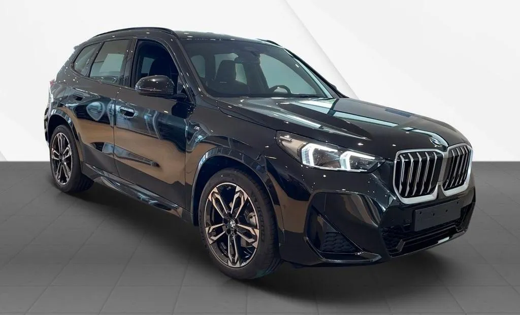 BMW X1  Image 2