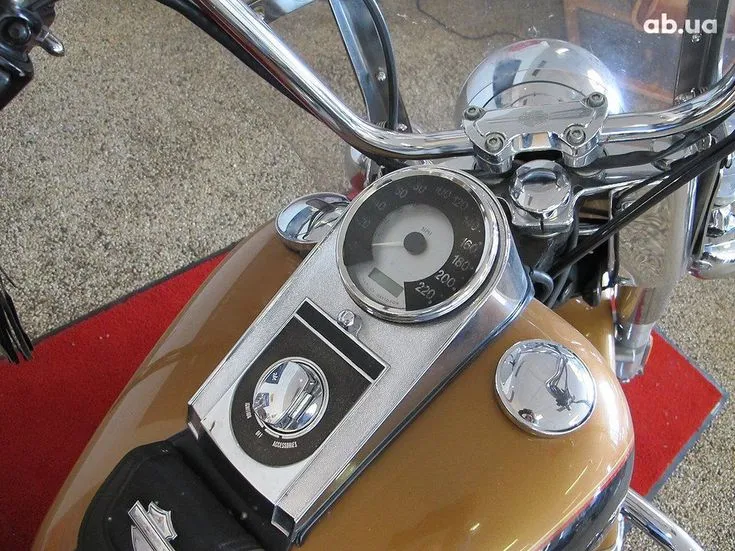 Harley-Davidson FLSTC  Image 5